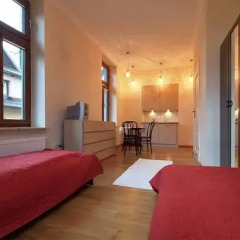 Отель Apartamenty Julian Закопане комната для гостей фото 4