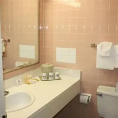 Отель Toronto Plaza Hotel Канада, Торонто - отзывы, цены и фото номеров - забронировать отель Toronto Plaza Hotel онлайн ванная фото 2