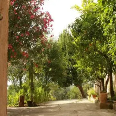Отель B&B L'Oleandro Италия, Лорето-Апрутино - отзывы, цены и фото номеров - забронировать отель B&B L'Oleandro онлайн фото 3