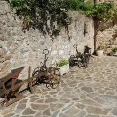 Отель Posada Estela de Barros