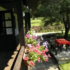 Отель Dzhelepova Guest House- Pool Access Болгария, Боженци - отзывы, цены и фото номеров - забронировать отель Dzhelepova Guest House- Pool Access онлайн фото 16