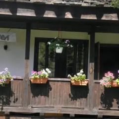 Отель Dzhelepova Guest House- Pool Access Болгария, Боженци - отзывы, цены и фото номеров - забронировать отель Dzhelepova Guest House- Pool Access онлайн фото 3