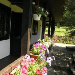 Отель Dzhelepova Guest House- Pool Access Болгария, Боженци - отзывы, цены и фото номеров - забронировать отель Dzhelepova Guest House- Pool Access онлайн фото 22