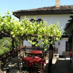 Отель Parlapanova Guest House - Pool Access Боженци помещение для мероприятий