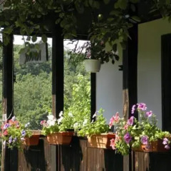Отель Dzhelepova Guest House- Pool Access Болгария, Боженци - отзывы, цены и фото номеров - забронировать отель Dzhelepova Guest House- Pool Access онлайн фото 12