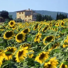 Отель Agriturismo Palazzo Bandino Италия, Кьянчиано Терме - отзывы, цены и фото номеров - забронировать отель Agriturismo Palazzo Bandino онлайн фото 4
