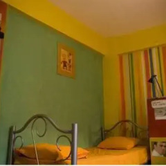 Stray Cat Hostel удобства в номере
