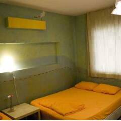 Stray Cat Hostel детские мероприятия