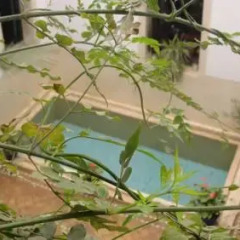 Отель Riad Tajpa Марокко, Марракеш - отзывы, цены и фото номеров - забронировать отель Riad Tajpa онлайн балкон