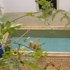 Отель Riad Tajpa Марокко, Марракеш - отзывы, цены и фото номеров - забронировать отель Riad Tajpa онлайн бассейн