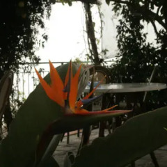 Отель Ravello Rooms Равелло бассейн