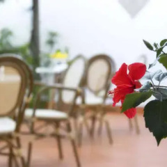 Отель Ravello Rooms Равелло фото 4