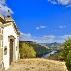 Отель Quinta de Santo António de Adorigo фото 5