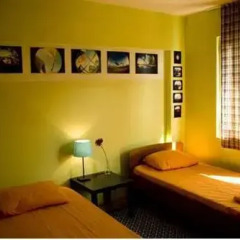 Stray Cat Hostel детские мероприятия фото 2