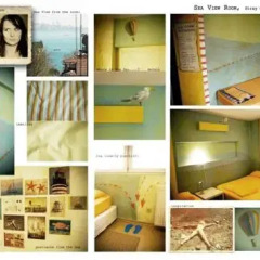Stray Cat Hostel развлечения