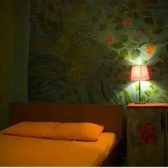 Stray Cat Hostel комната для гостей фото 3