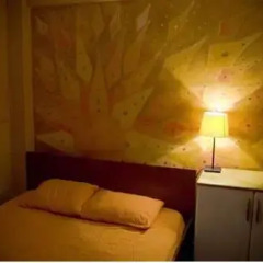 Stray Cat Hostel комната для гостей фото 2