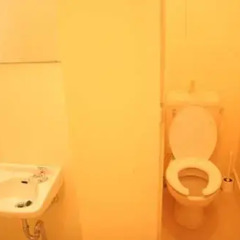 Yadoya Guesthouse Green - Hostel Токио ванная фото 2