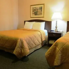 Отель Clarion Hotel & Suites Selby-Toronto Канада, Торонто - отзывы, цены и фото номеров - забронировать отель Clarion Hotel & Suites Selby-Toronto онлайн комната для гостей фото 4