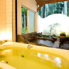 Отель Auberge Mori no Kobito Япония, Минамиогуни - отзывы, цены и фото номеров - забронировать отель Auberge Mori no Kobito онлайн спа