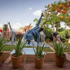 Отель Jaipur Inn фото 5