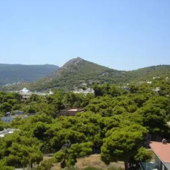 Hotel Afea