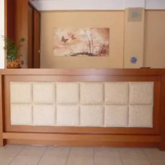 Hotel Afea интерьер отеля фото 3