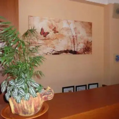 Hotel Afea интерьер отеля