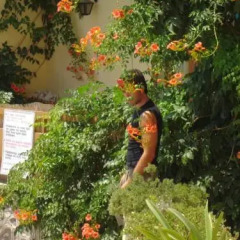 Hotel Afea фото 2