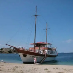 Hotel Nestor