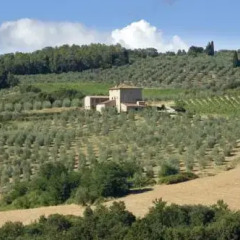 Отель Agriturismo Il Casolare di Bucciano Farmhouse Италия, Сан-Джиминьяно - отзывы, цены и фото номеров - забронировать отель Agriturismo Il Casolare di Bucciano Farmhouse онлайн фото 13