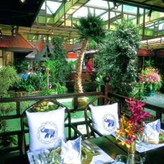 Отель Roda Al Bustan