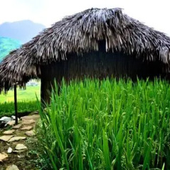 Отель H'mong Mountain Retreat пляж