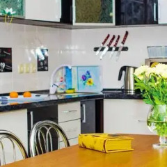 Гостиница Rymarska Street Apartment Украина, Харьков - отзывы, цены и фото номеров - забронировать гостиницу Rymarska Street Apartment онлайн питание фото 2