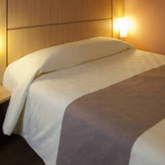 Отель ibis Merida спа