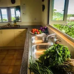 Отель Malaqereqere Villas в номере