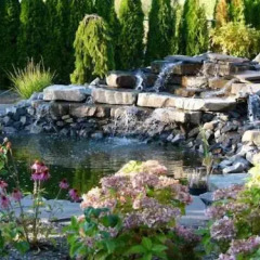Отель Riverside Garden Richmond Канада, Ричмонд - отзывы, цены и фото номеров - забронировать отель Riverside Garden Richmond онлайн бассейн
