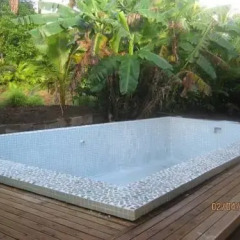 Отель Golden Palms Retreat Фиджи, Вити-Леву - отзывы, цены и фото номеров - забронировать отель Golden Palms Retreat онлайн бассейн фото 3