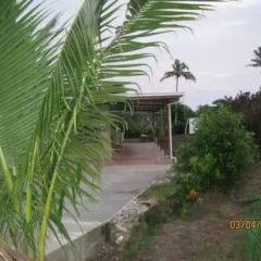 Отель Golden Palms Retreat Фиджи, Вити-Леву - отзывы, цены и фото номеров - забронировать отель Golden Palms Retreat онлайн фото 5