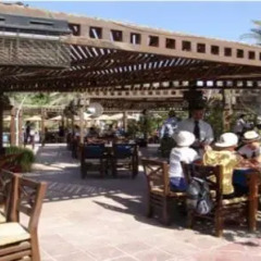 Отель Palmera Azur Resort гостиничный бар