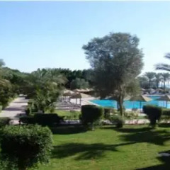 Отель Palmera Azur Resort фото 6