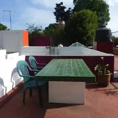 Апартаменты Sunflower Apartment near Coyoacan District Мехико фото 3