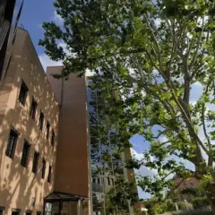 Отель Aemilia Hotel Bologna Италия, Болонья - 1 отзыв об отеле, цены и фото номеров - забронировать отель Aemilia Hotel Bologna онлайн фото 4