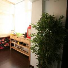 Отель Bamboo Bed & Breakfast интерьер отеля фото 2