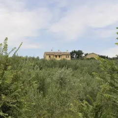 Отель Agriturismo Al Crepuscolo Италия, Реканати - отзывы, цены и фото номеров - забронировать отель Agriturismo Al Crepuscolo онлайн фото 8