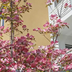 Отель Boutique Hotel Jardis Италия, Лана - отзывы, цены и фото номеров - забронировать отель Boutique Hotel Jardis онлайн интерьер отеля