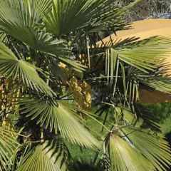 Отель Boutique Hotel Jardis Италия, Лана - отзывы, цены и фото номеров - забронировать отель Boutique Hotel Jardis онлайн фото 5