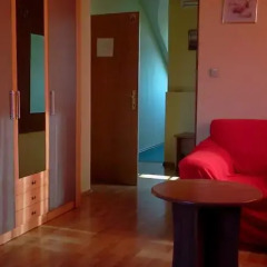 Paradise Hotel комната для гостей фото 2