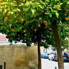 Отель Al Andalus Jerez Испания, Херес-де-ла-Фронтера - отзывы, цены и фото номеров - забронировать отель Al Andalus Jerez онлайн парковка