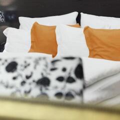 Отель Pytloun Design Hotel Чехия, Либерец - отзывы, цены и фото номеров - забронировать отель Pytloun Design Hotel онлайн с домашними животными